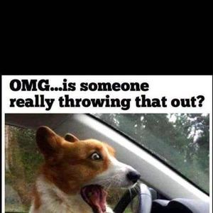 Meet your Posher, Misha